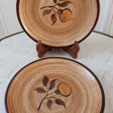 Set of 5 dessert plates in Salins stoneware 70s