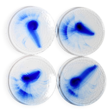 Set of 4 Mid-Century Bormioli Rocco Swirl Glass Dinner Plates / Italy / 199