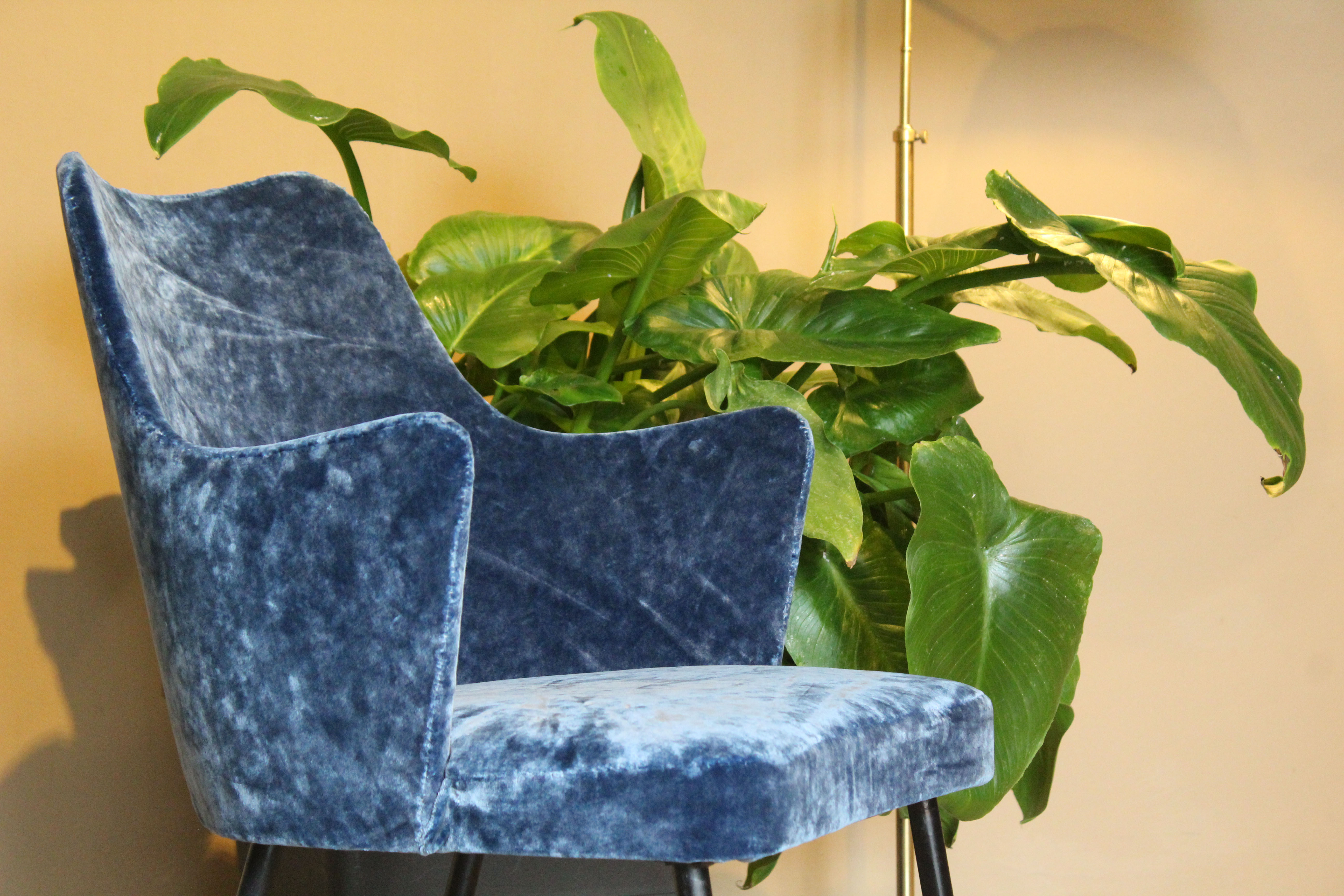 Armchair in blue velvet, Italy 1950s