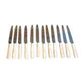 12 Ancient Table Knives Manché Imitation Ivory