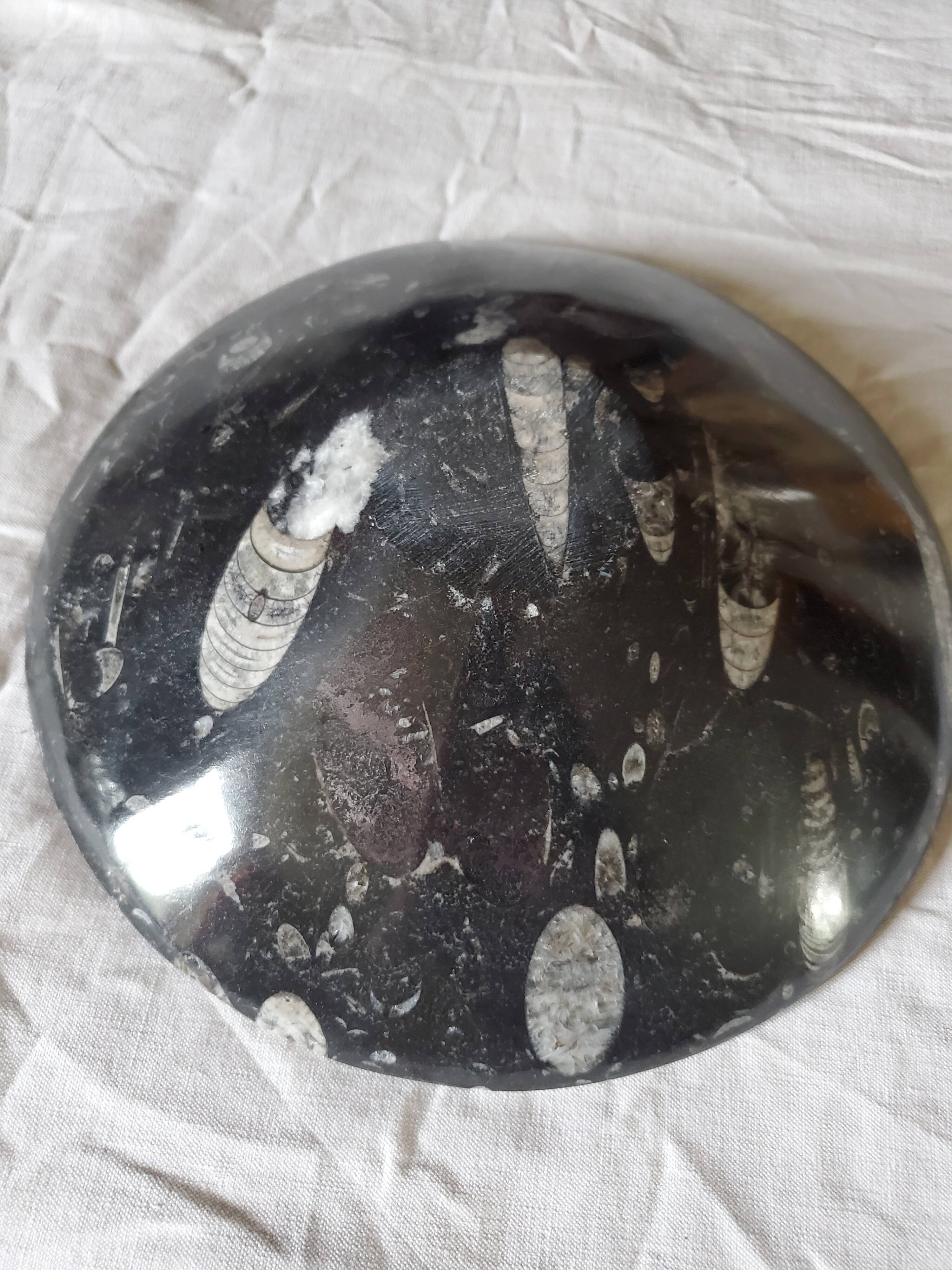 Fossilized marble cup