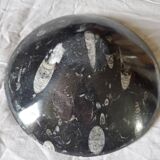 Fossilized marble cup