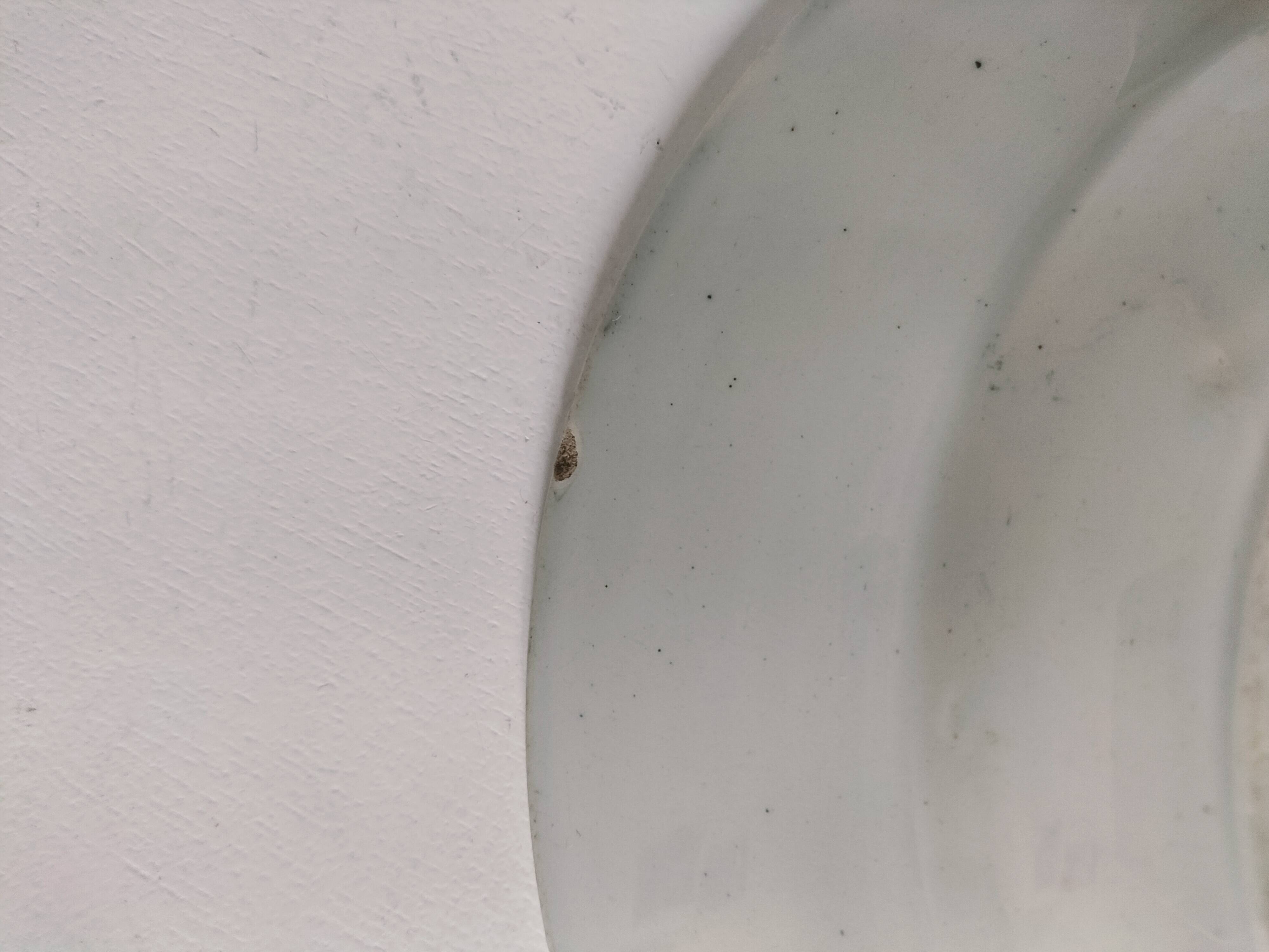 Plate by A. Lebacqz & M. Bouchart, green floral decoration, Richelieu model