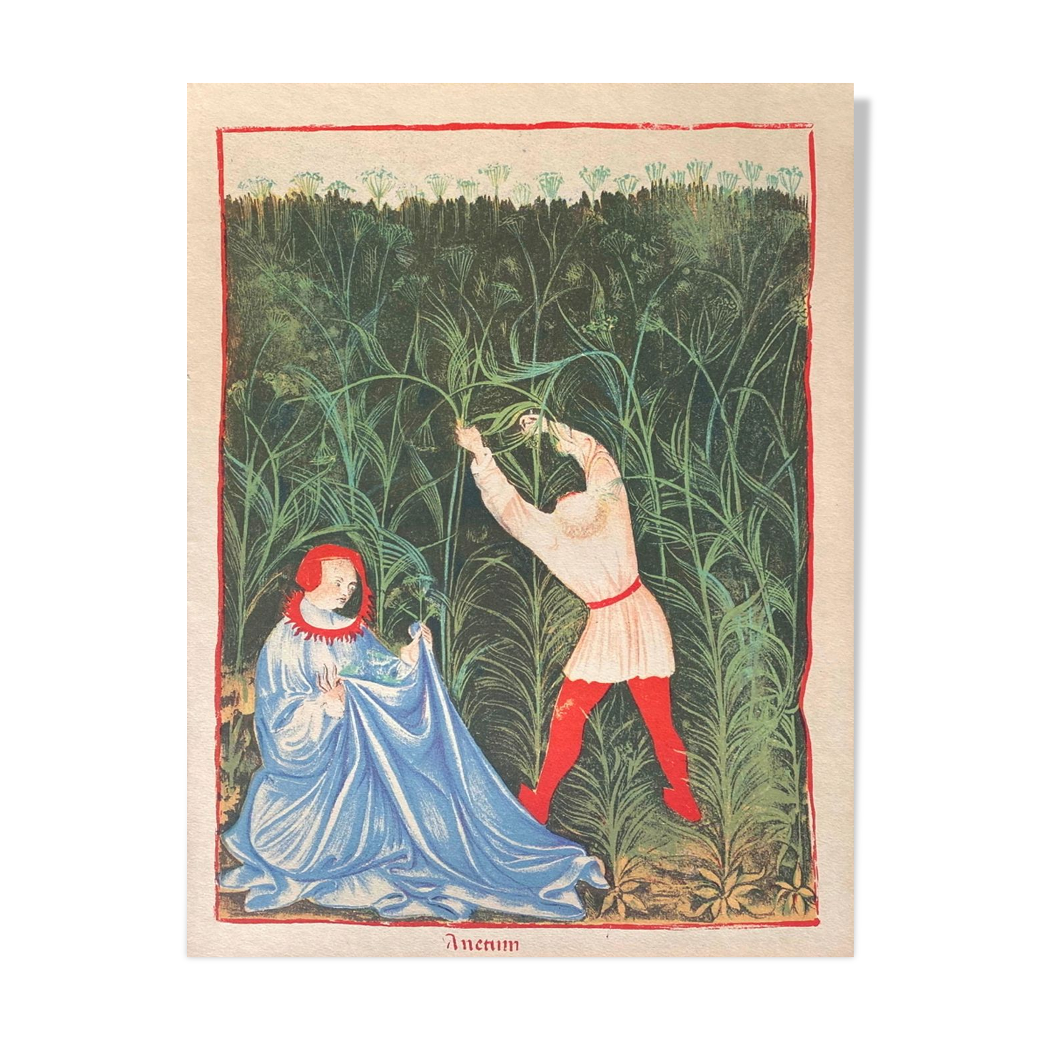 Vintage Lithography, The Harvest