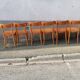 Set of 6 chairs bistrot Thonet