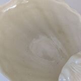 Shell bowl