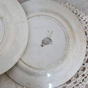6 flat iron earth plates Nouvelles Galeries Ennegé Paris Robert model 1930s