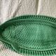 Plat vert poisson Sarreguemines