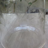 Frosted engraved crystal decanter