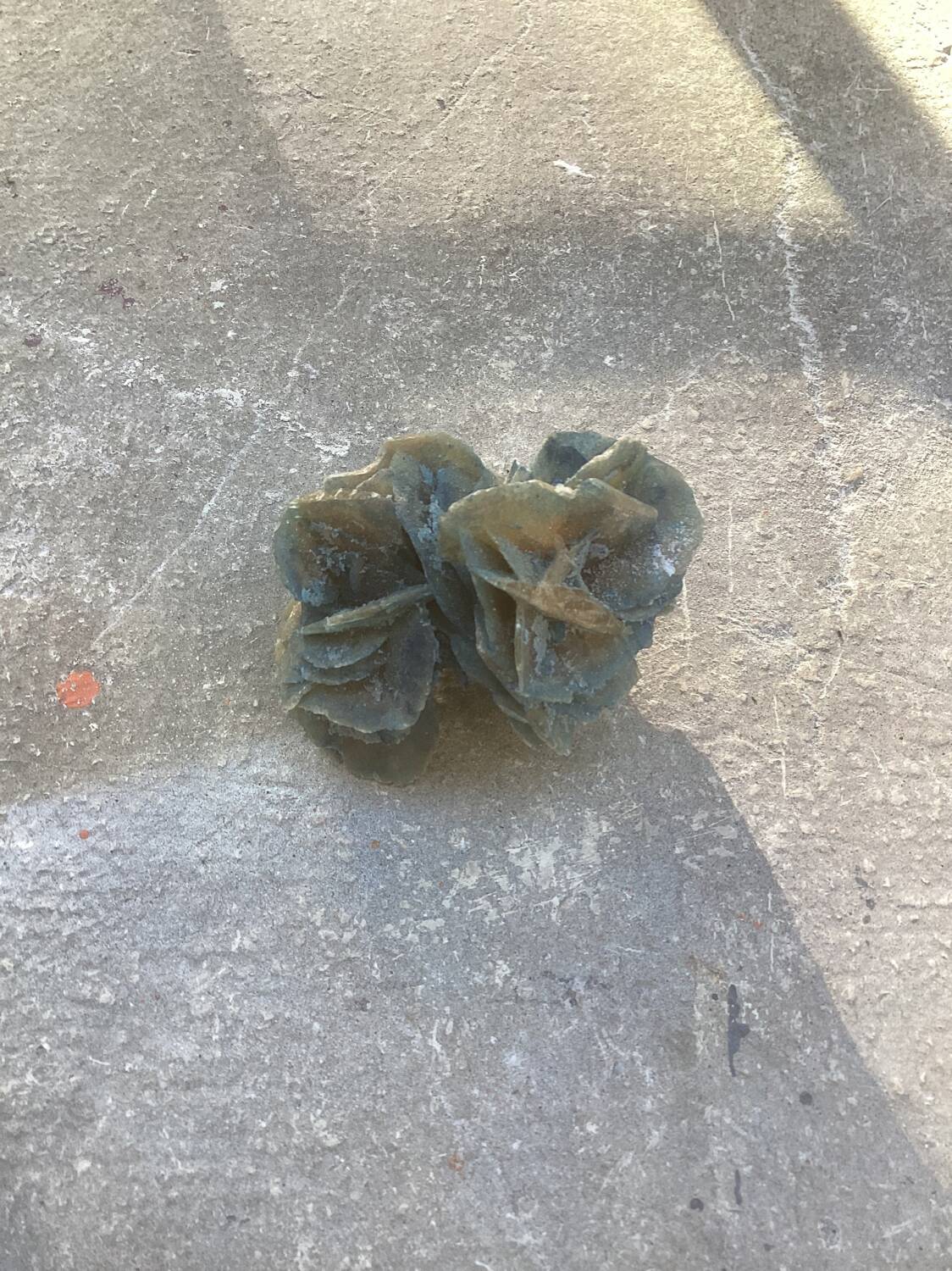 Small blue tinted sand rose