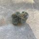 Small blue tinted sand rose