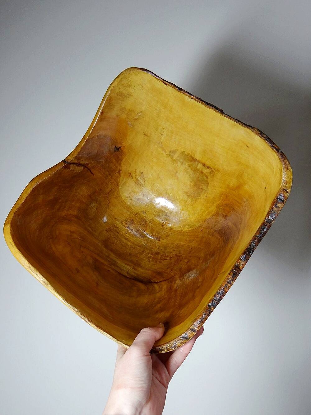 Large olive wood bowl Riviera brutalist craftsmanship circa 1950