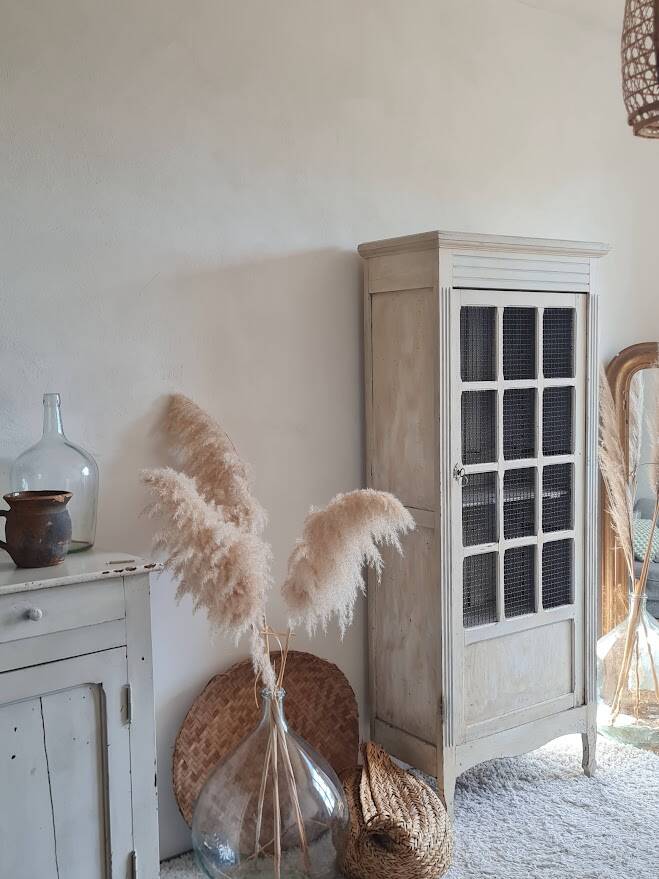 Antique Parisian wardrobe