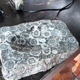 Orbicular diorite ashtray