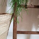 Old wooden ladder