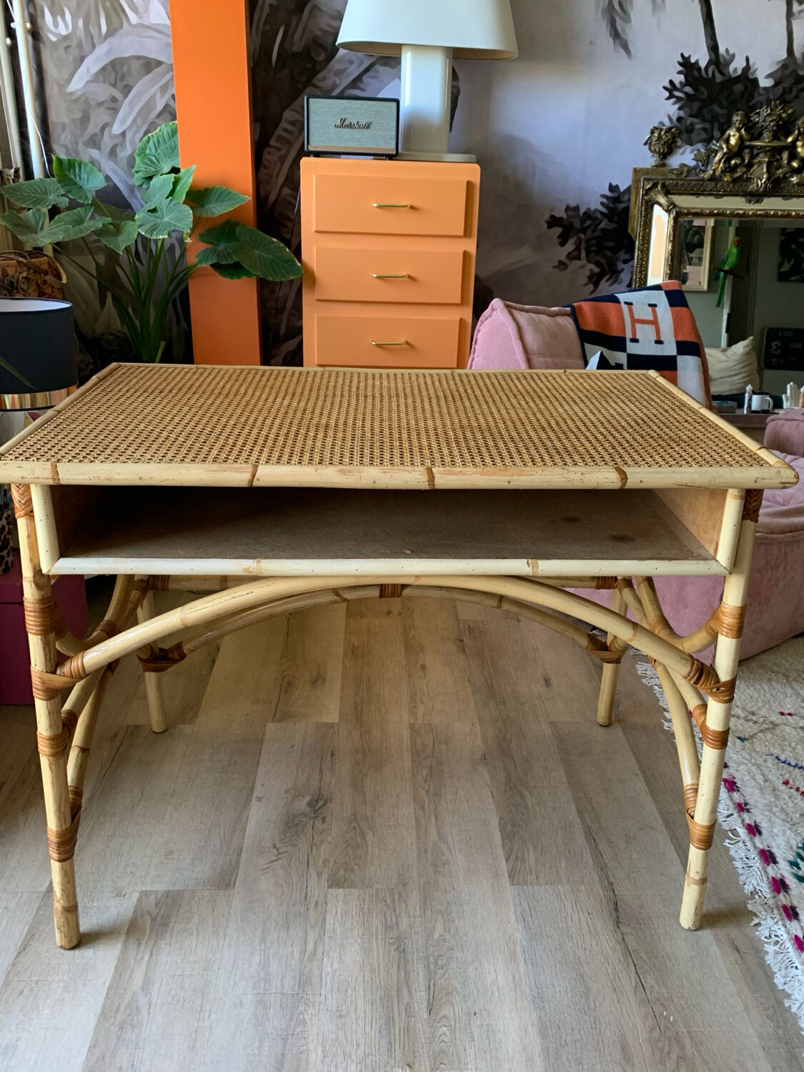 Rattan desk and canning