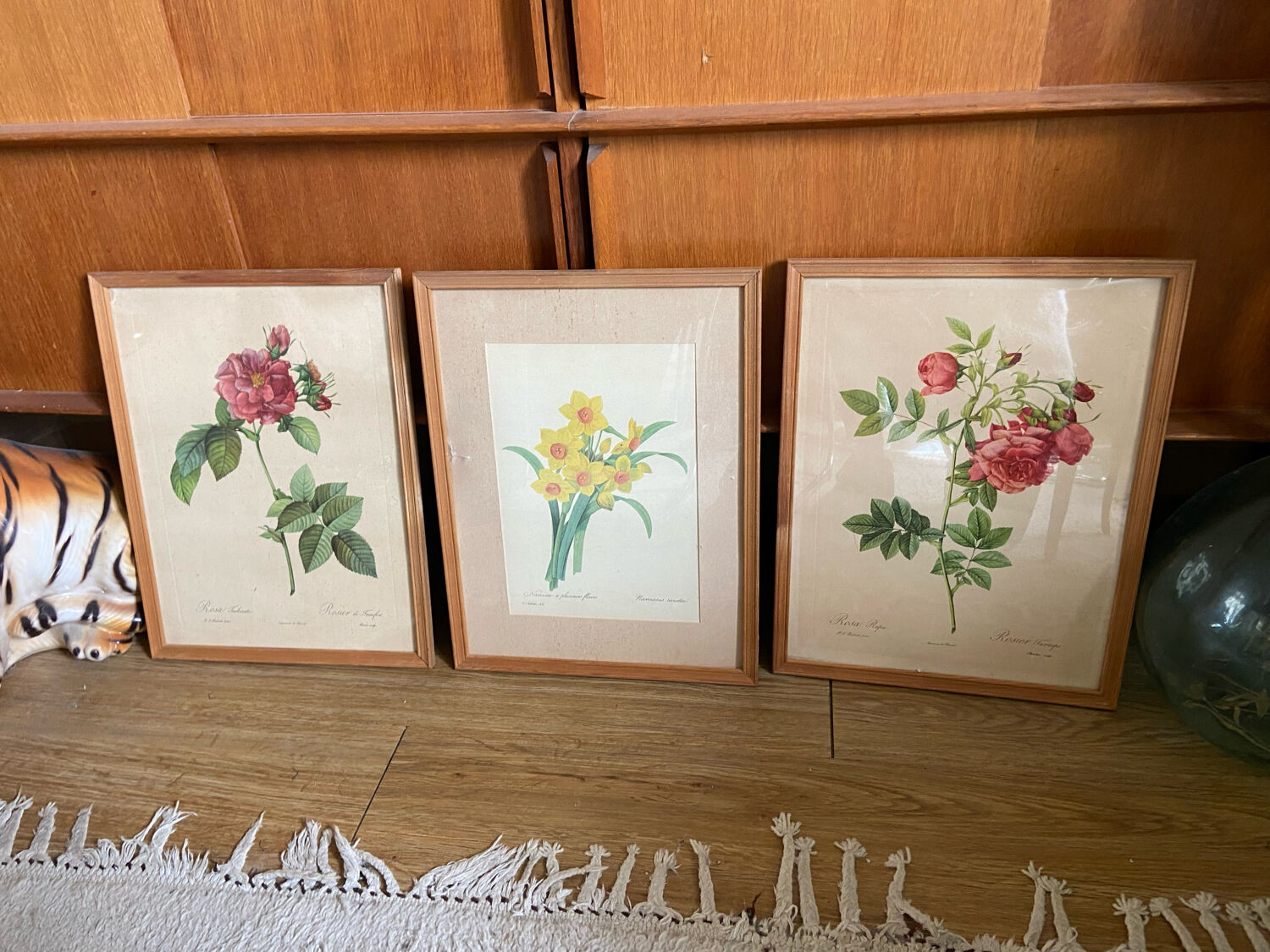 Trio of ancient botanical posters