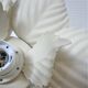 Masca flower sconce in metal white vintage cream