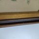 Old octagonal frame lithograph flower plant