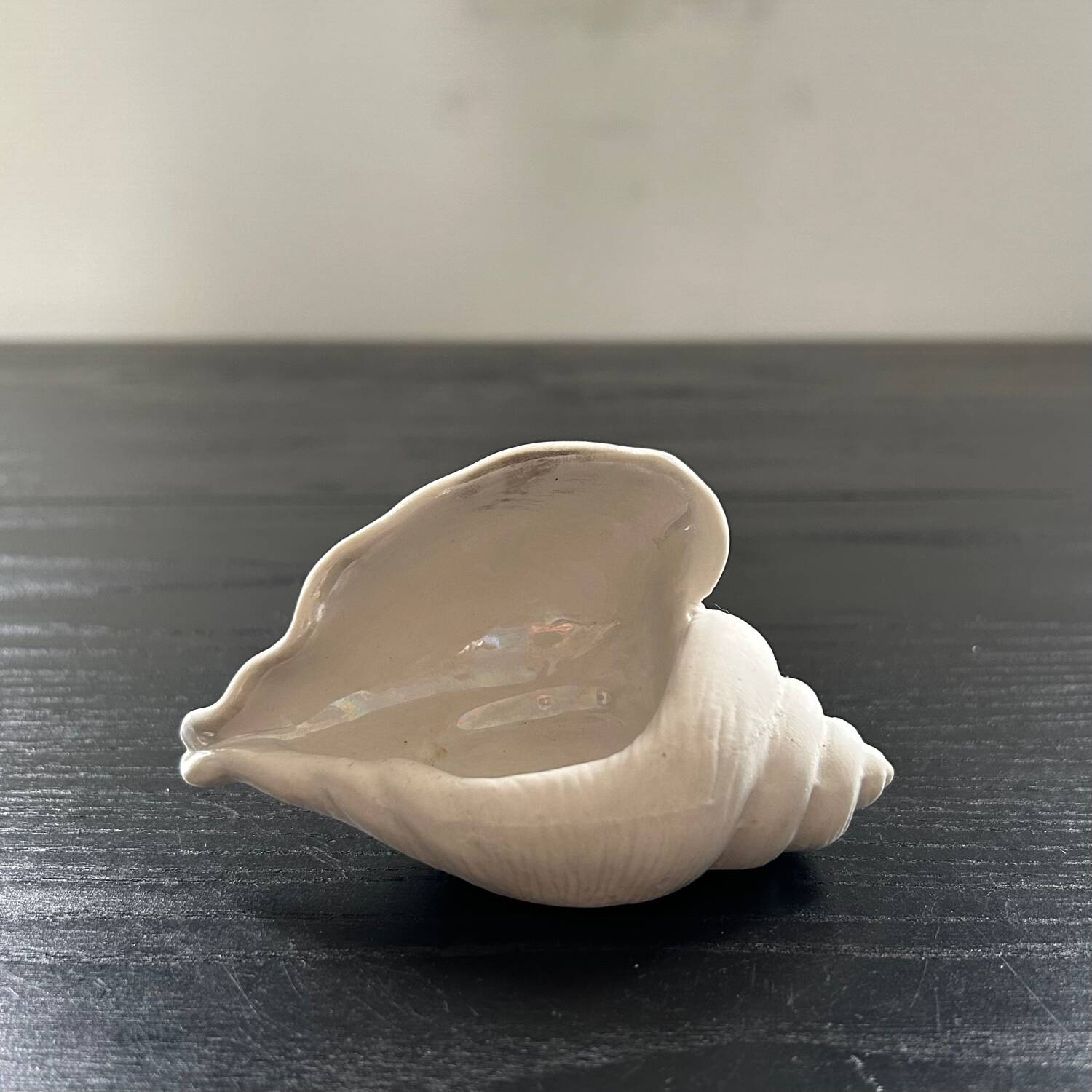 Biscuit shell candle holder