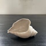 Biscuit shell candle holder