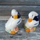 Vintage 2-Piece Duck-Shaped Salt and Pepper Shaker Set