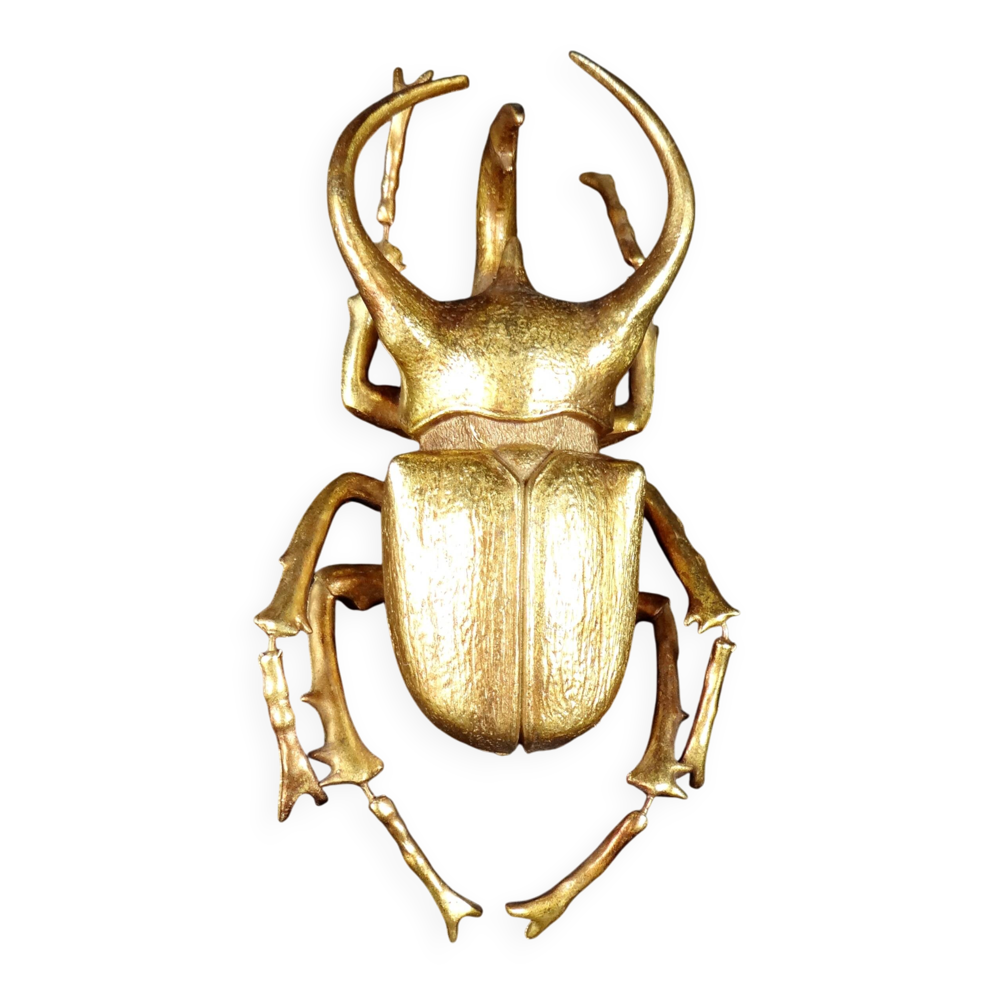 Contemporary style golden scarab wall sculpture in resin and metal
