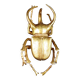 Contemporary style golden scarab wall sculpture in resin and metal