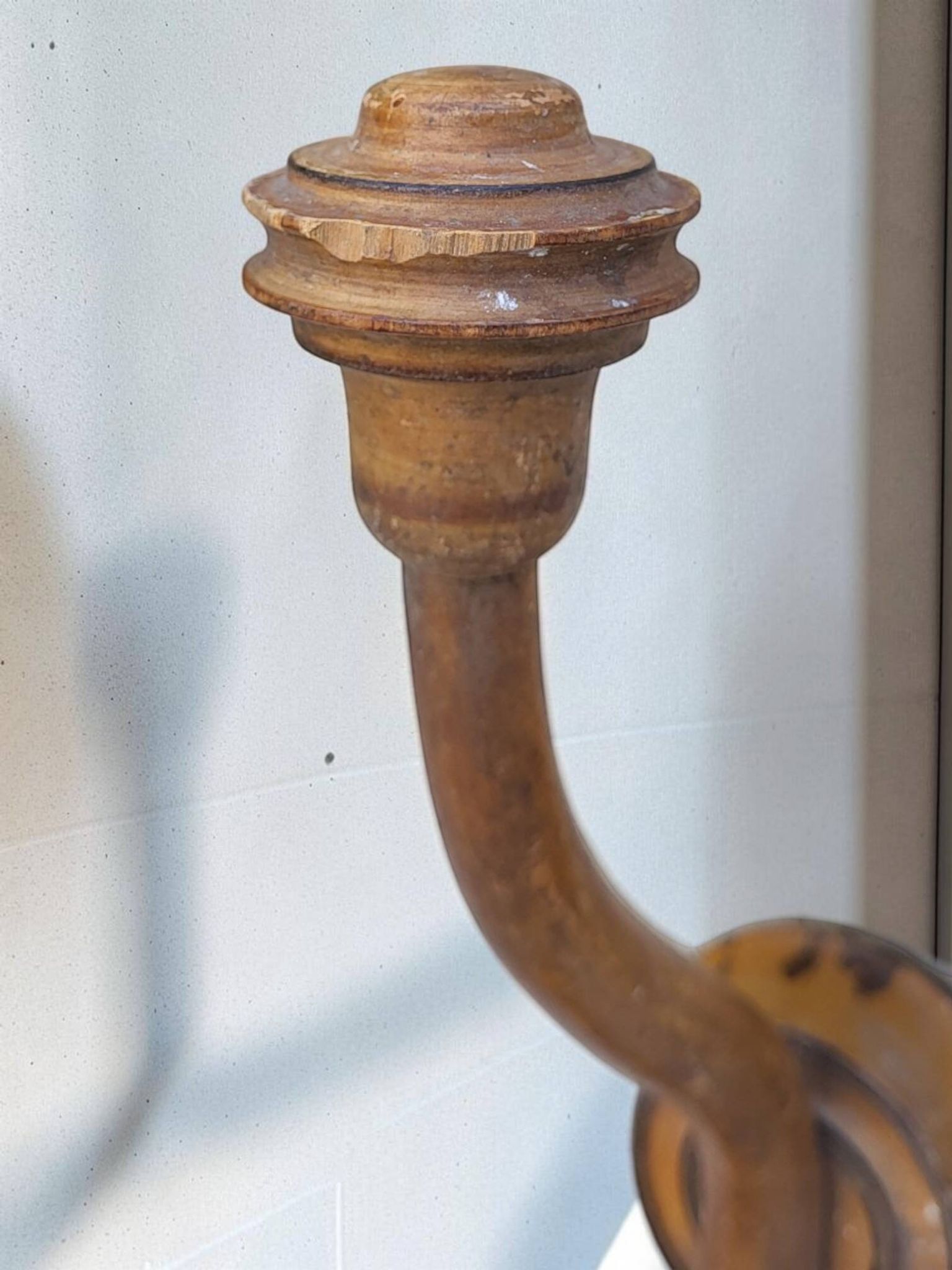 Bamboo coats hook 1900