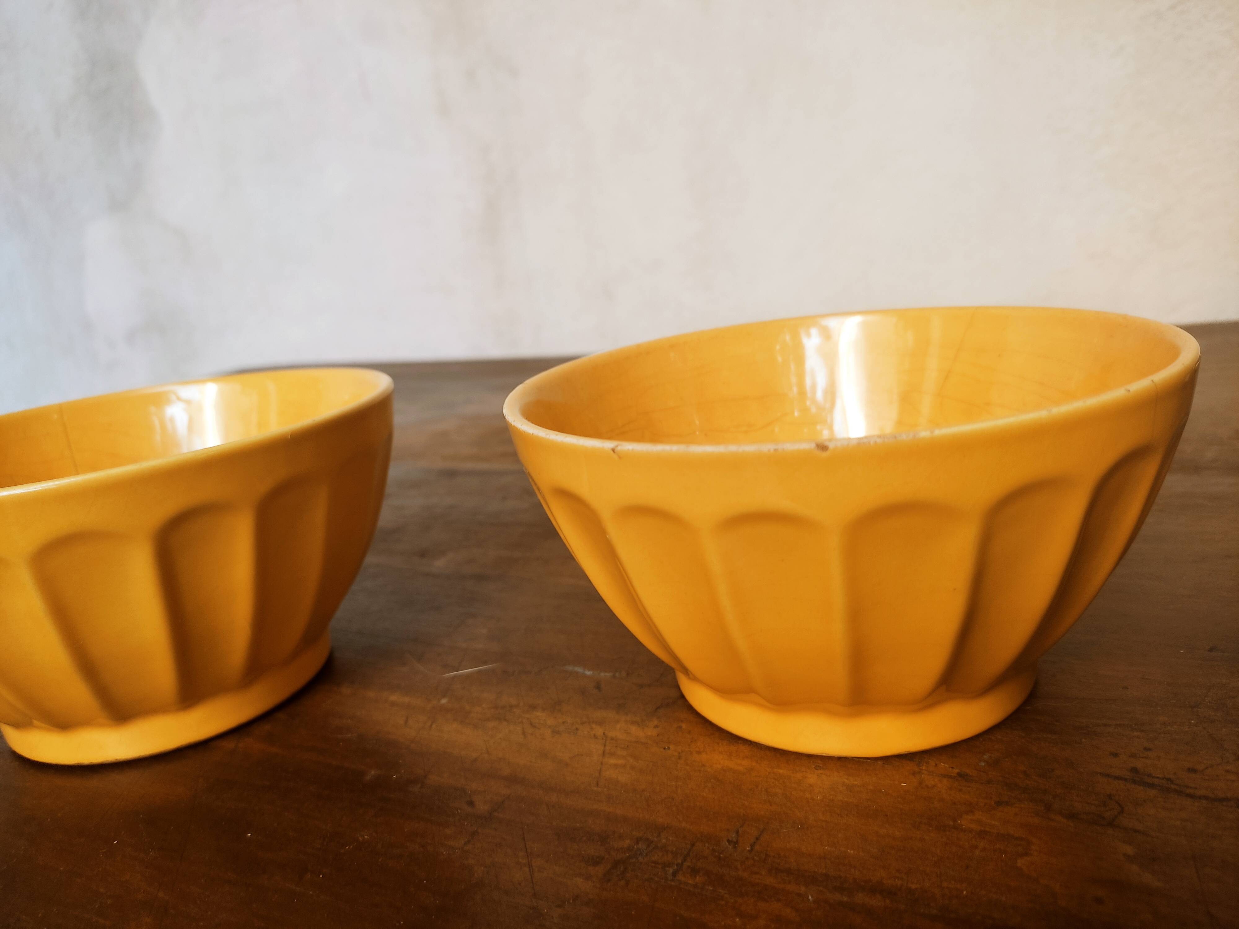 Duo of rib bowls in faience