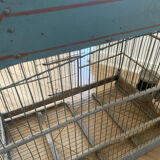 Old bird cage