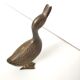 Brass duck 60s