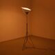 Rare Tenderly Floor Lamp by Shigeru Uchida for Pastoe 1985