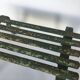 Wrought iron plant door