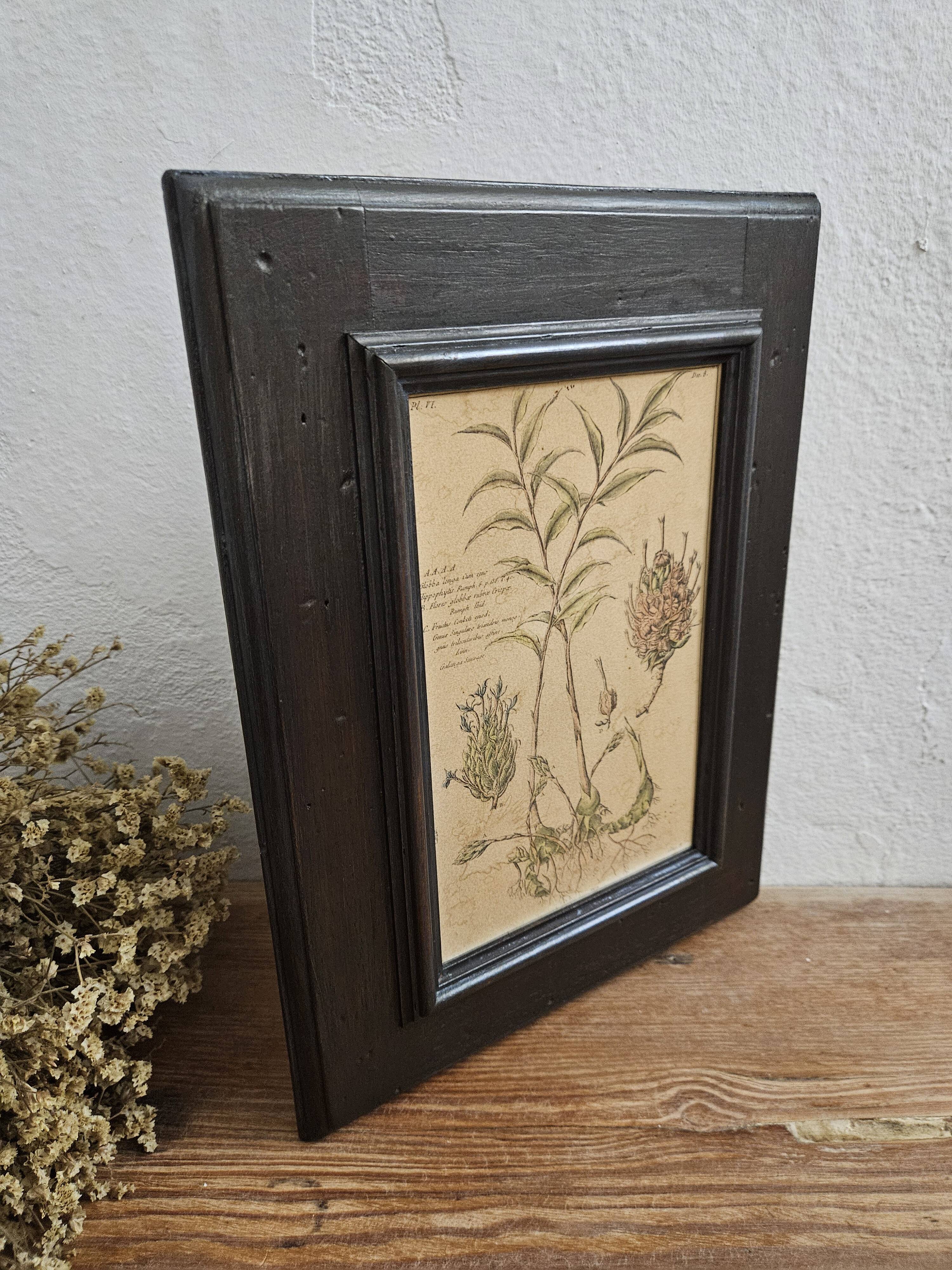 Framed Botanical Board Table