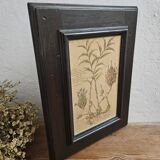 Framed Botanical Board Table