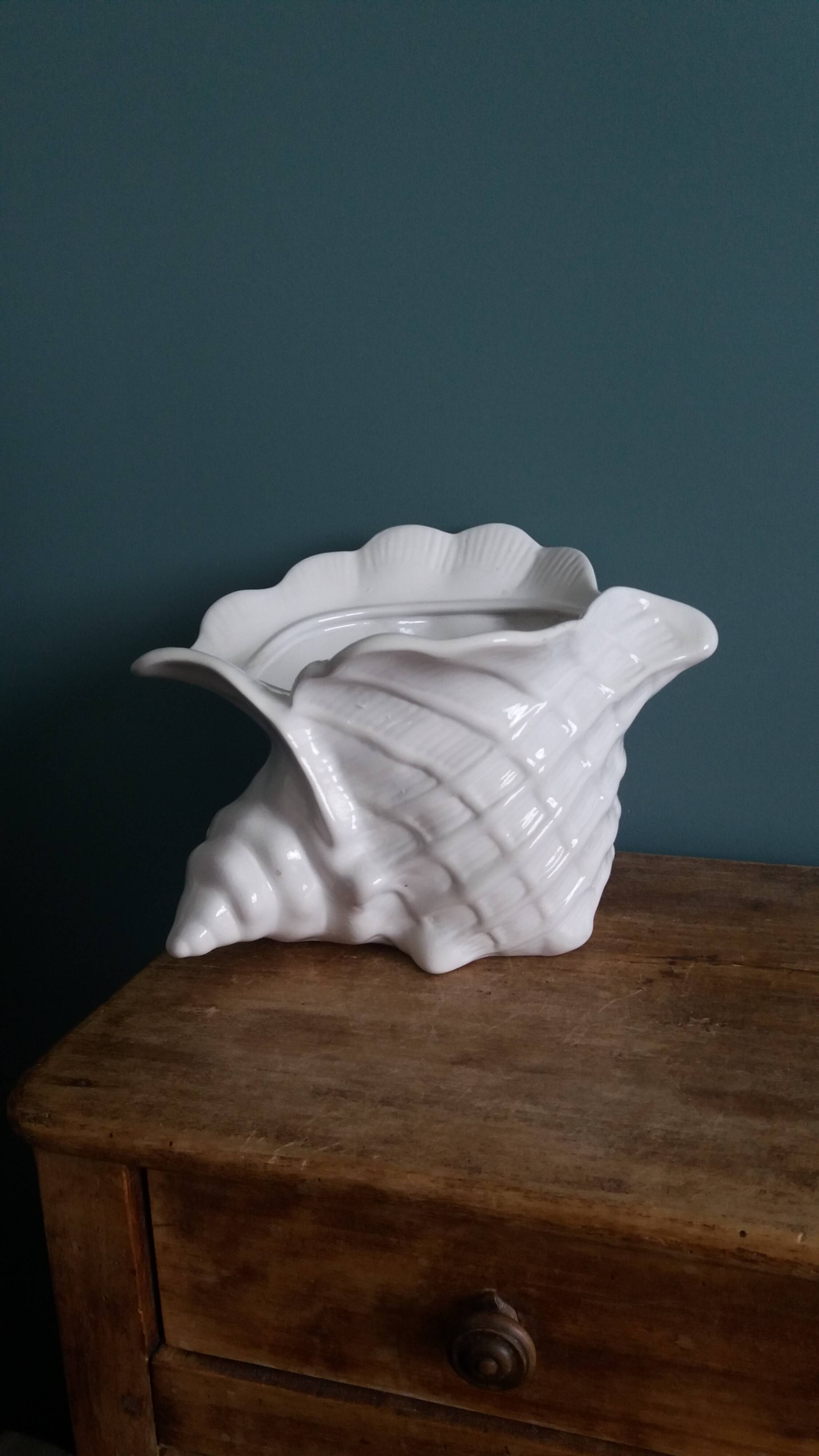 Ceramic conch shell, plant pot or trinket dish.