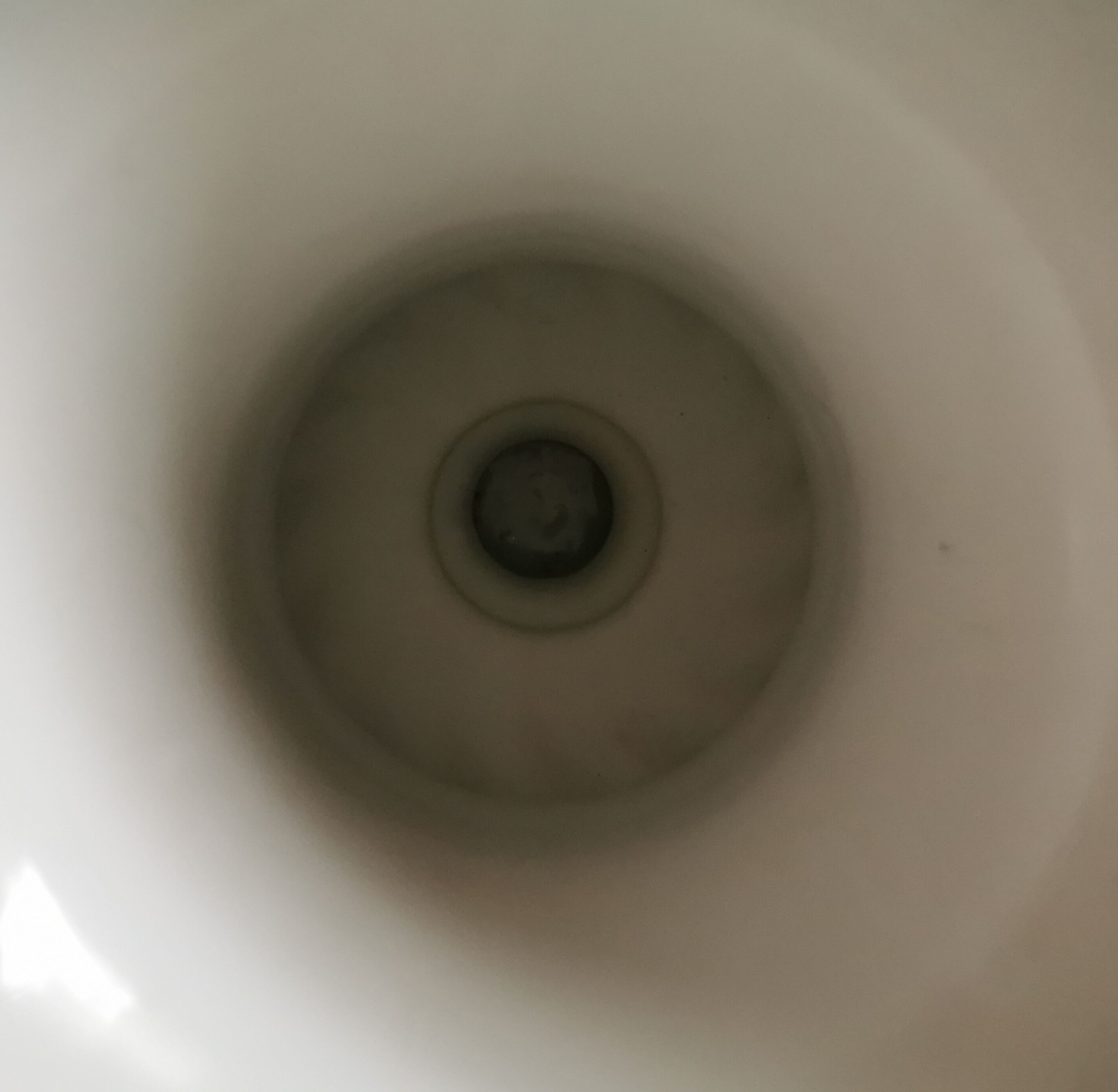 Medici porcelain vase