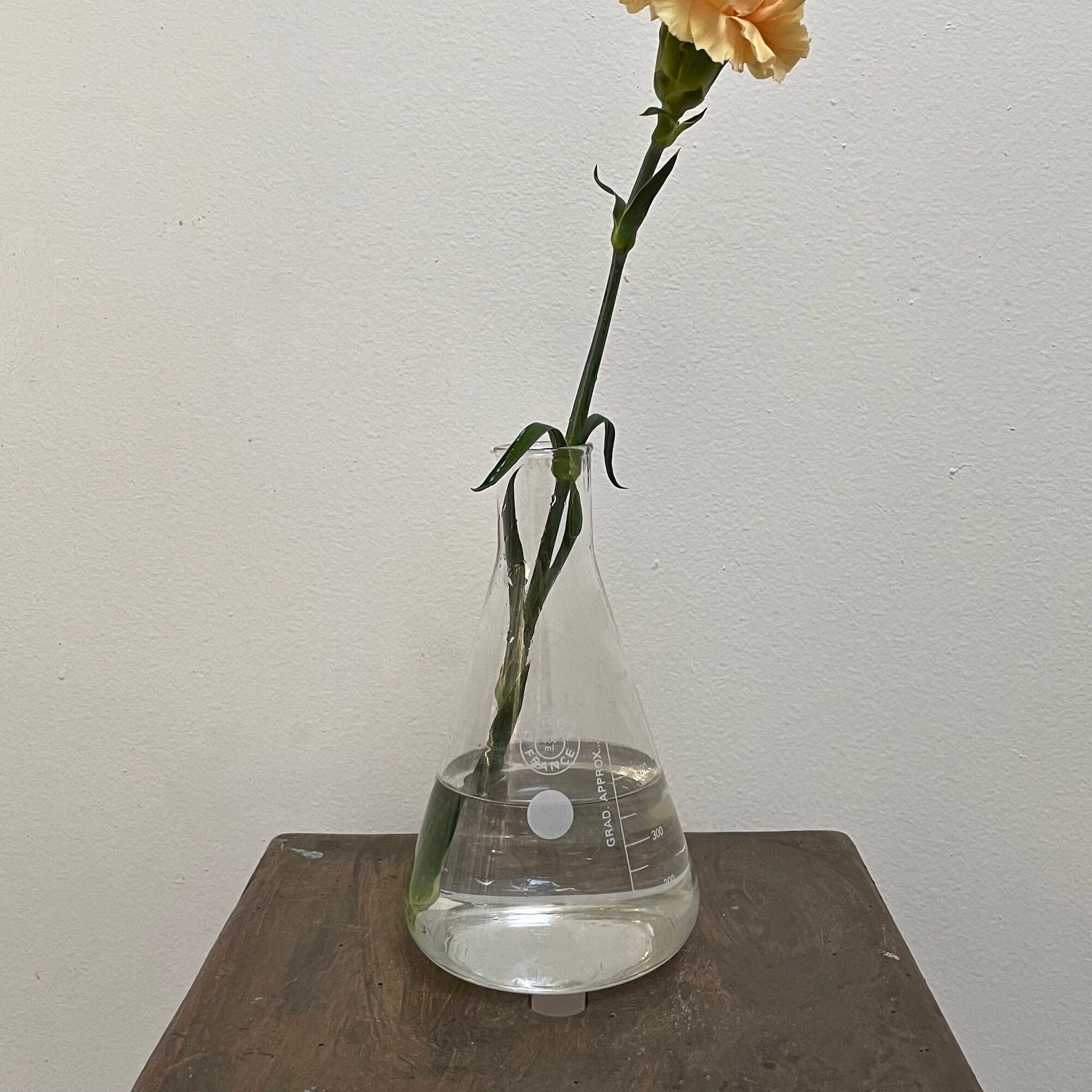 Chemistry carafe 500ml pyrex