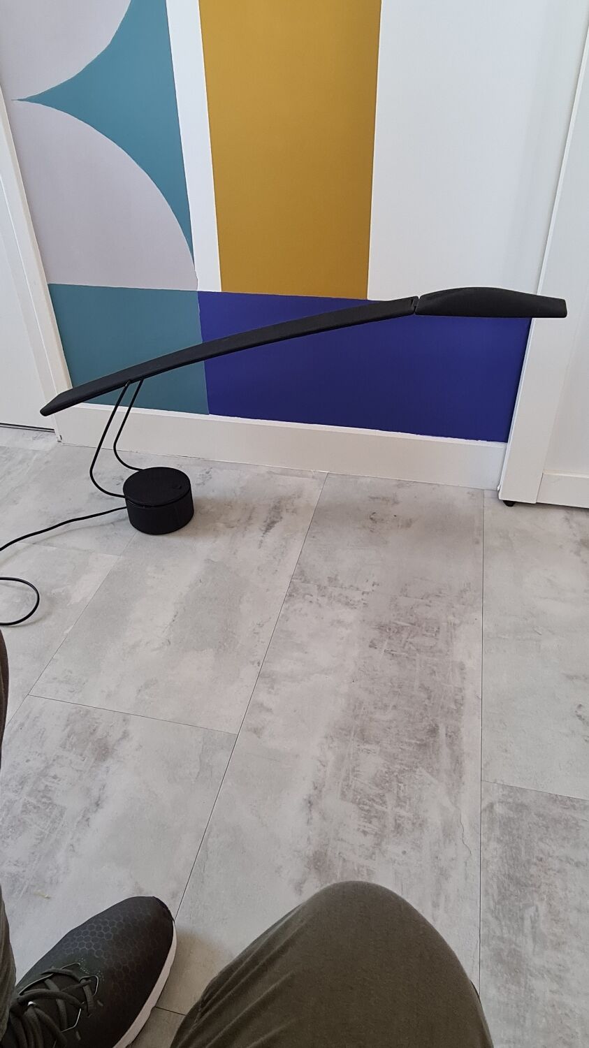 Vintage desk lamp dove design Mario Barbaglia & Marco Colombo