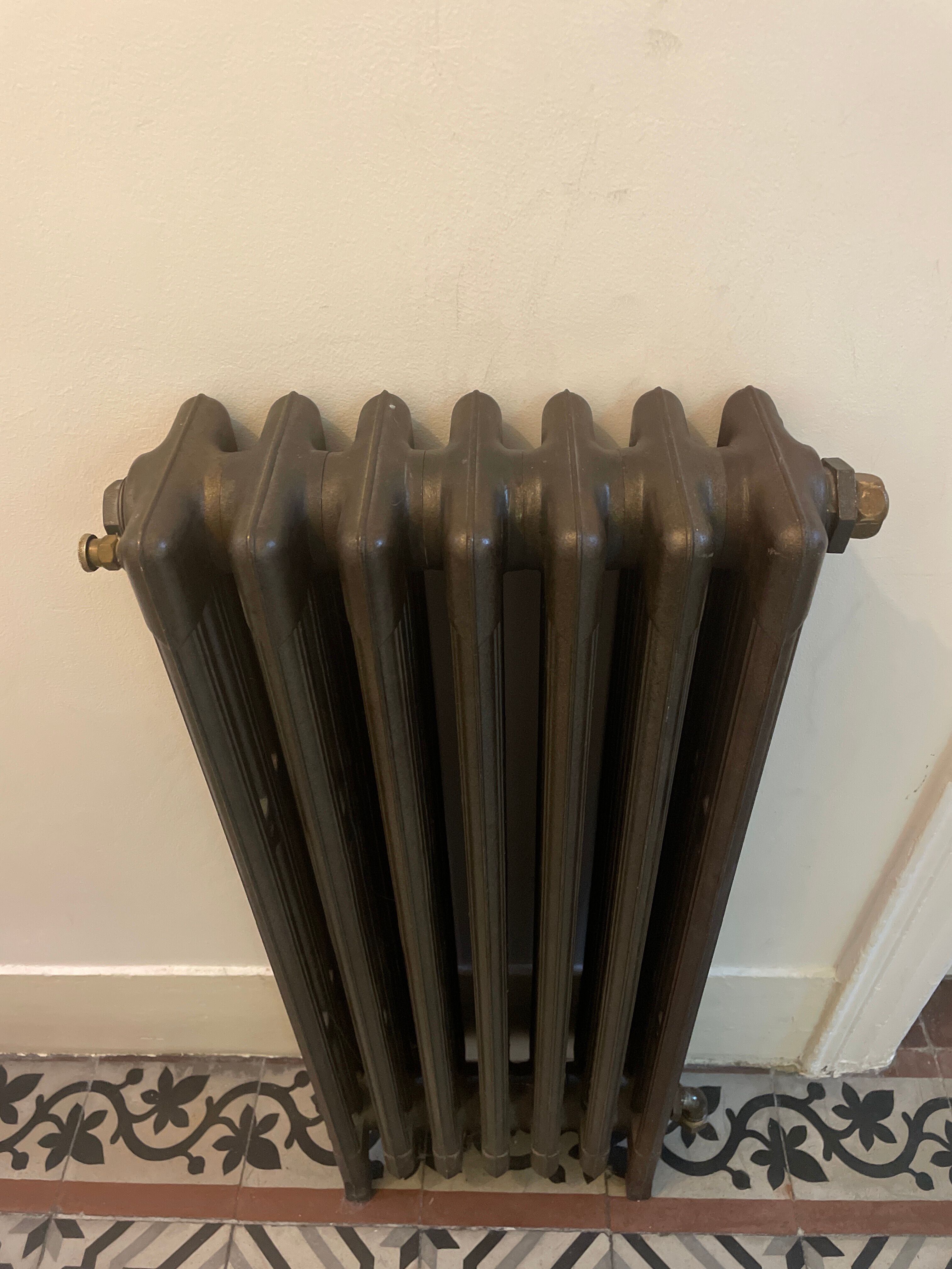Old cast iron radiator renovated