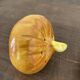 Vintage barbotine pepper and salt shaker in the shape of garlic and onion
