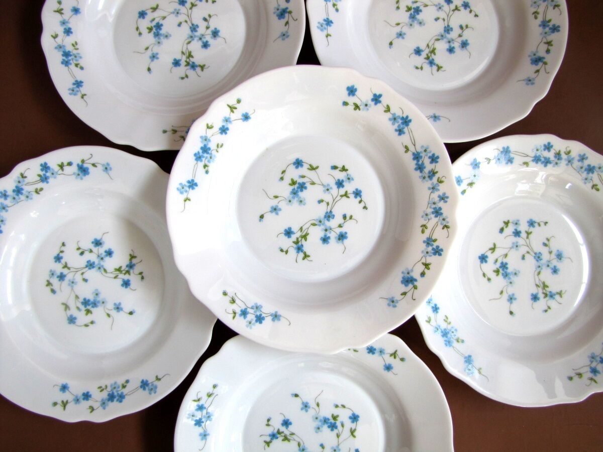 Vintage 6 hollow plates arcopal 70 - 80's décor myosotis veronica