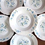 Vintage 6 hollow plates arcopal 70 - 80's décor myosotis veronica