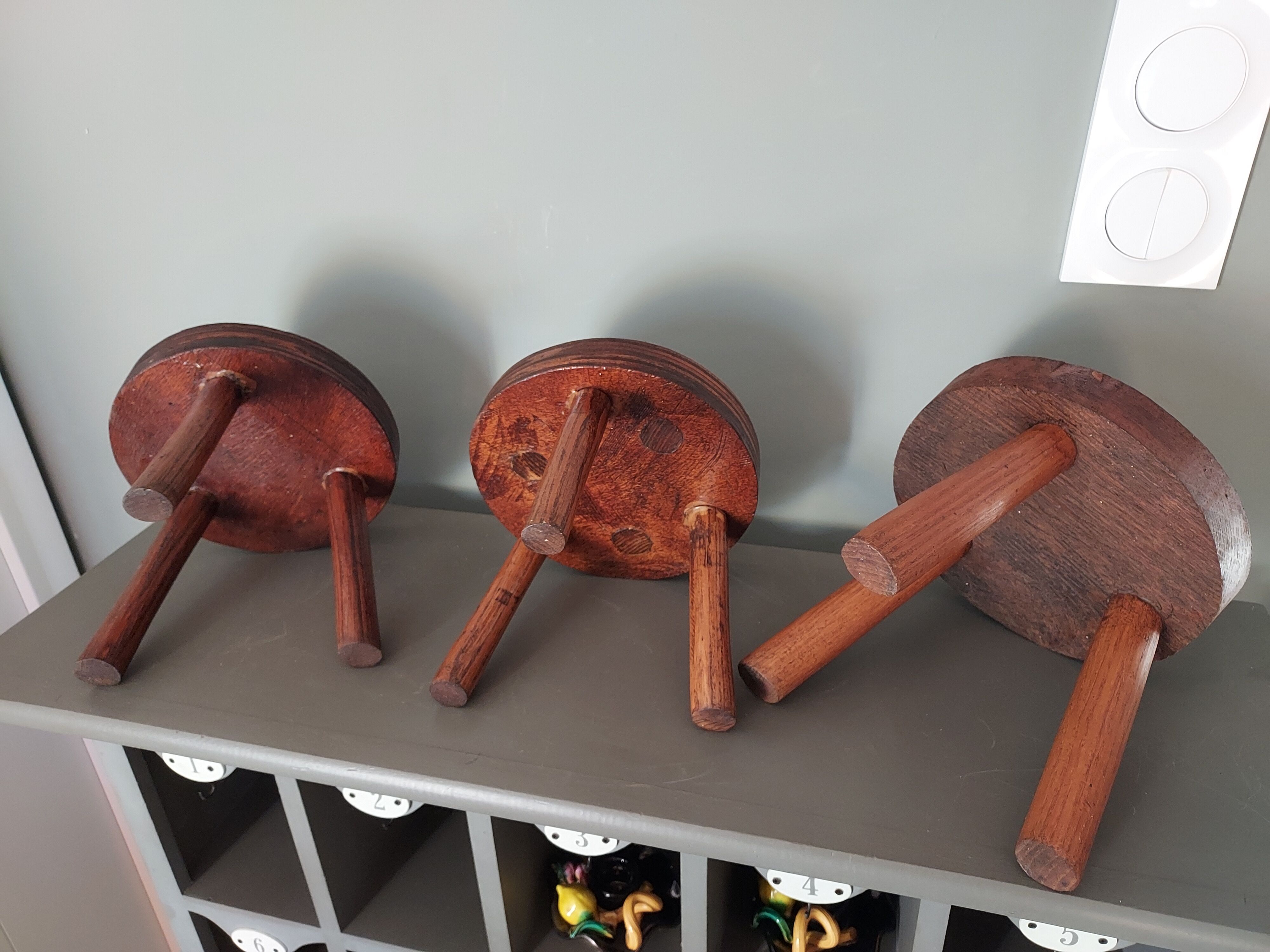 Door trio of artisanal vintage plants