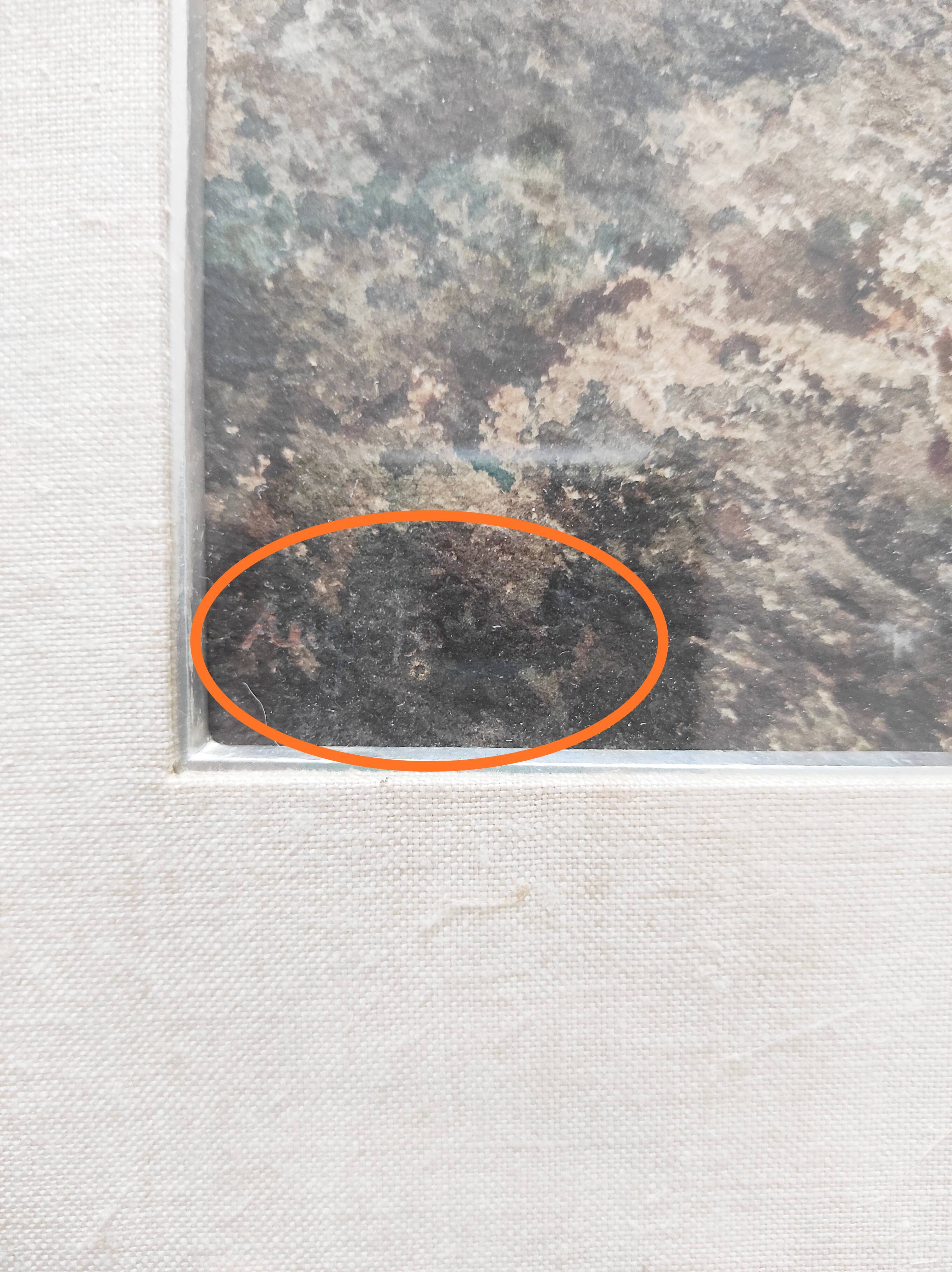 View of a Lake, 19th Century Framed Watercolor