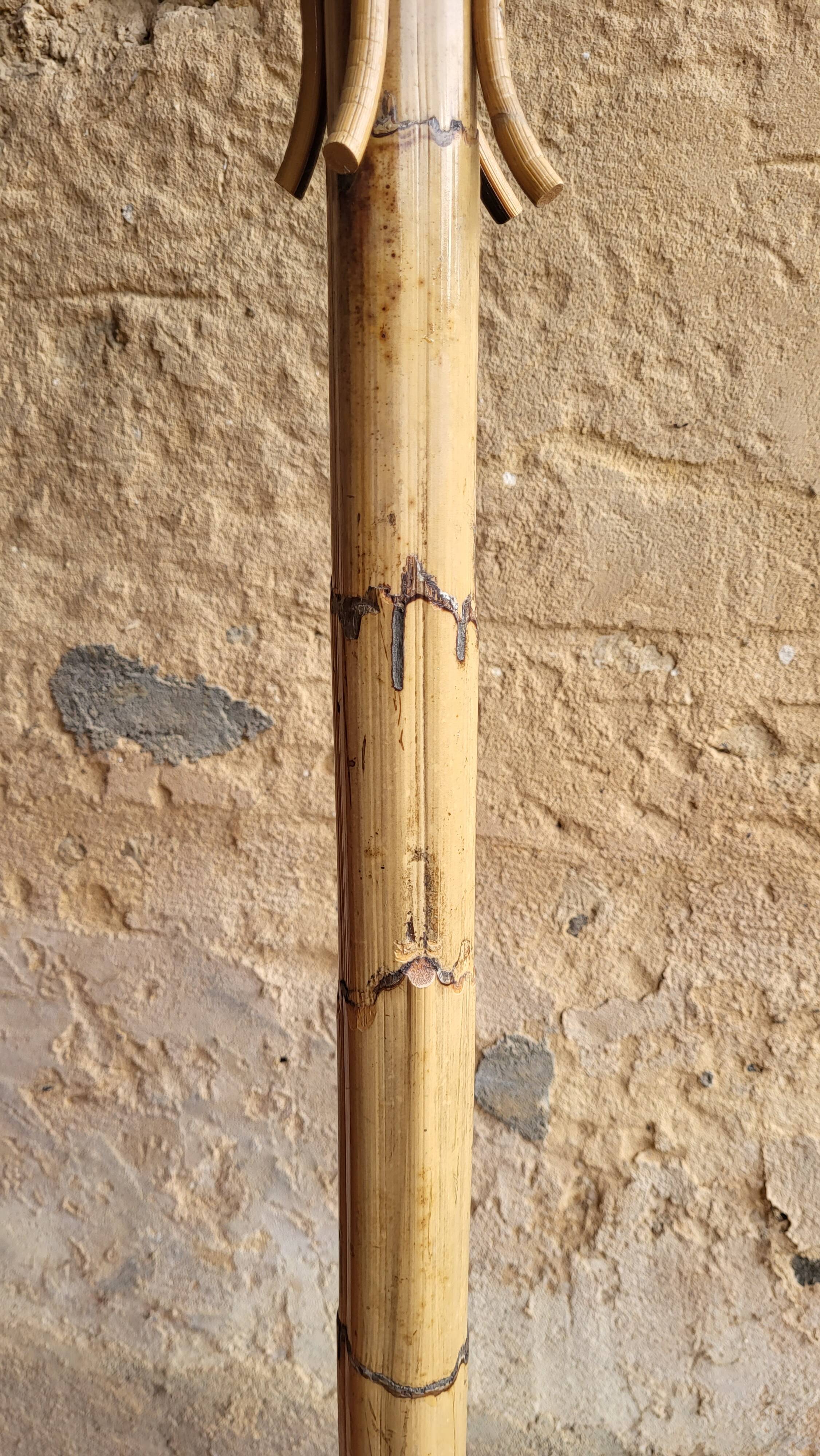 Porte manteaux perroquet en rotin