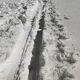Old black and white silver photography early twentieth century