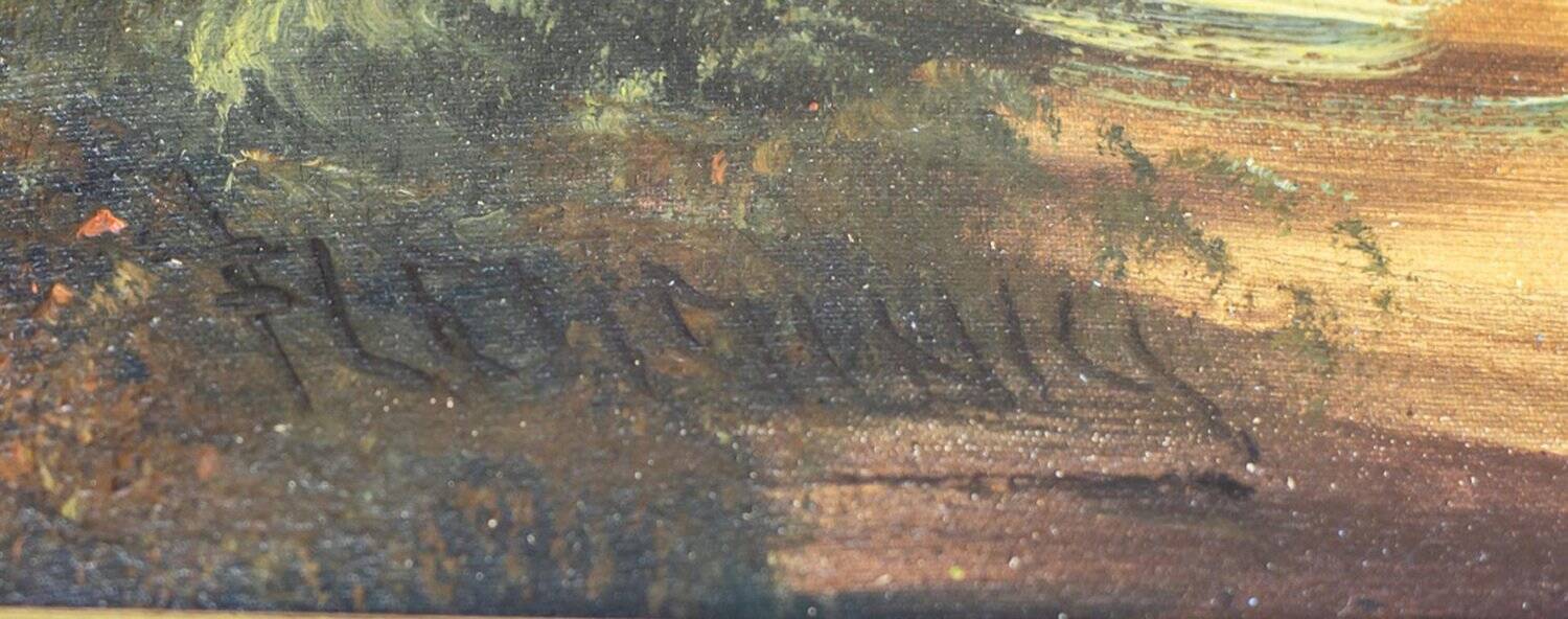 Forest Landscape, 20th Century, Oil on Canvas, Framed