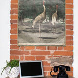 Displays educational crane